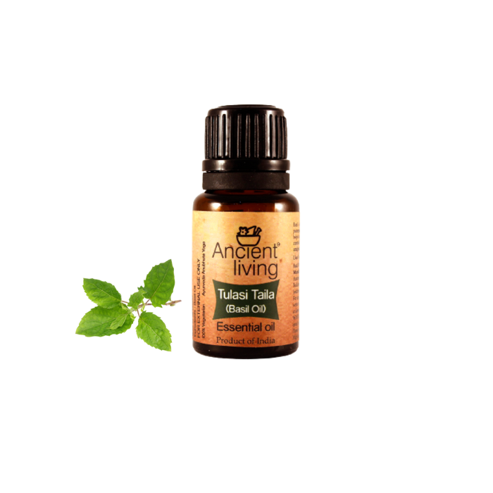 Ancient Living Basil Essential Oil - 10 ml