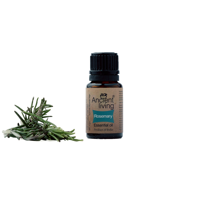 Ancient Living Rosemary Essential Oil - 10 ml