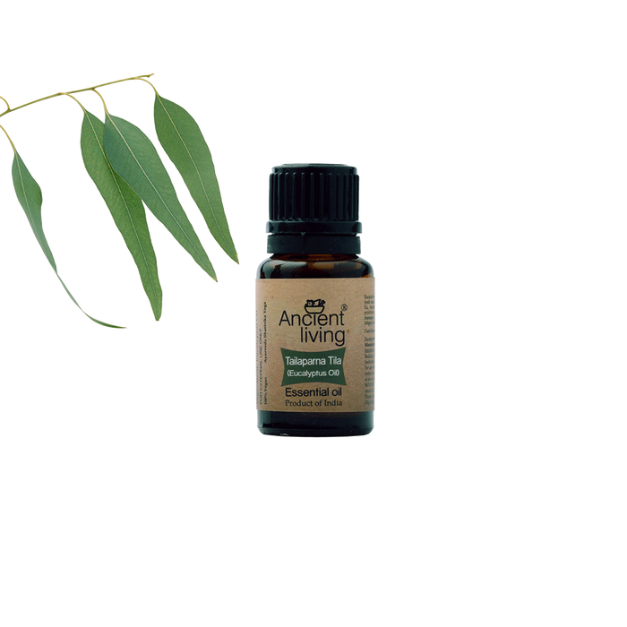 Ancient Living Eucalyptus Essential Oil - 10 ml